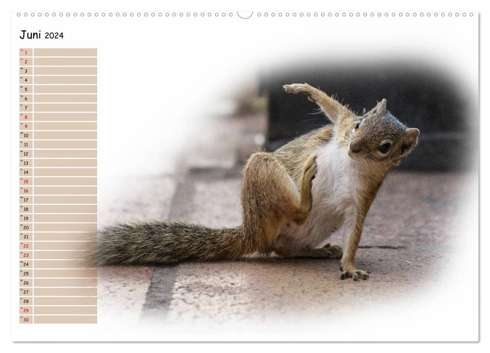 Tierisches Yoga (CALVENDO Wandkalender 2024)