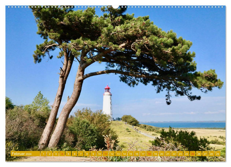 Île Hiddensee – Humeurs et désirs (Calvendo Premium Wall Calendar 2024) 