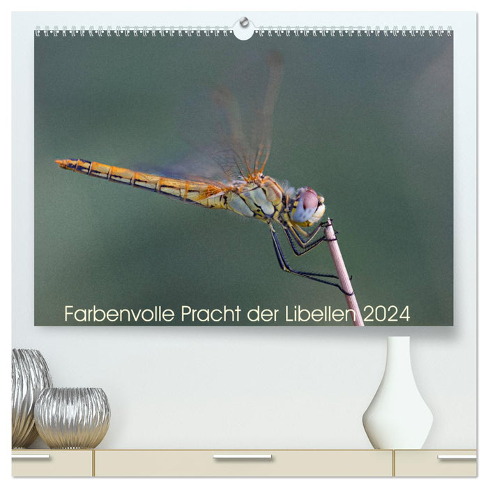 Farbenvolle Pracht der Libellen (CALVENDO Premium Wandkalender 2024)