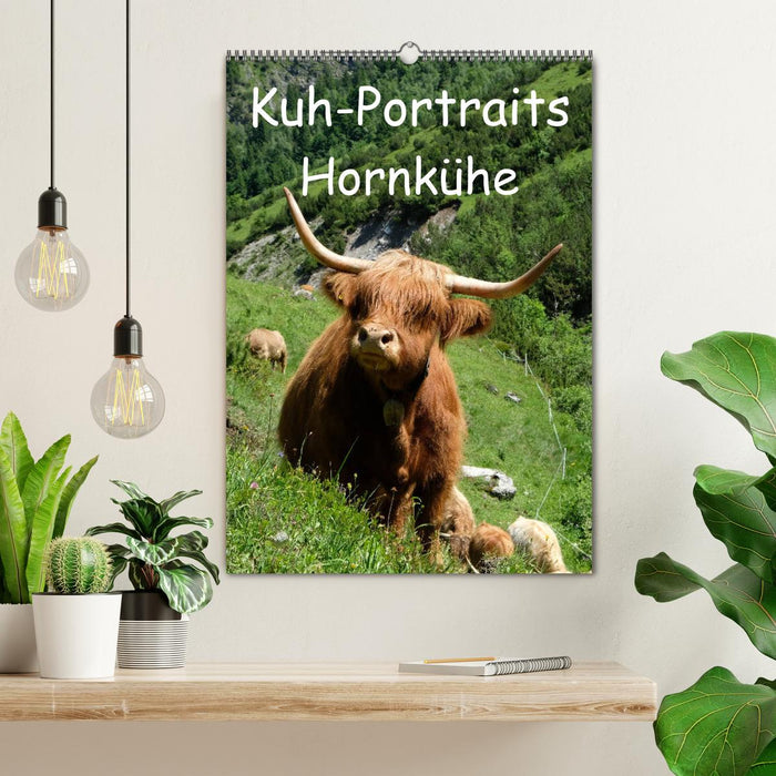 Kuhportraits Hornkühe (CALVENDO Wandkalender 2024)