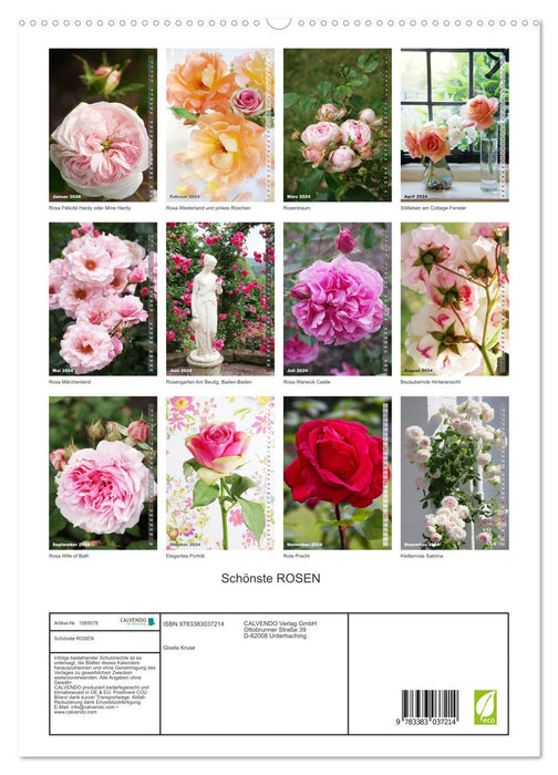 Les plus belles roses (Calvendo Premium Calendrier mural 2024) 