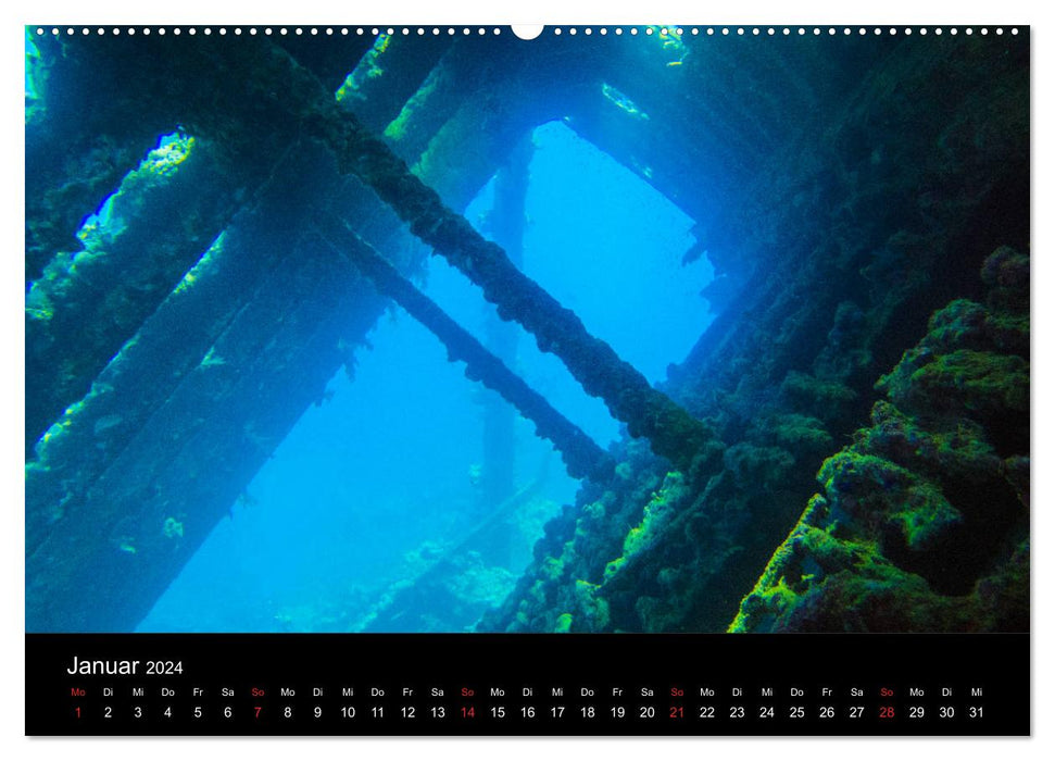 Abu Nuhas – Épaves dans la mer Rouge (Calvendo Premium Wall Calendar 2024) 