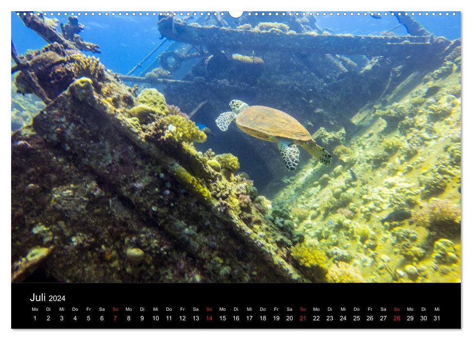 Abu Nuhas – Épaves dans la mer Rouge (Calvendo Premium Wall Calendar 2024) 
