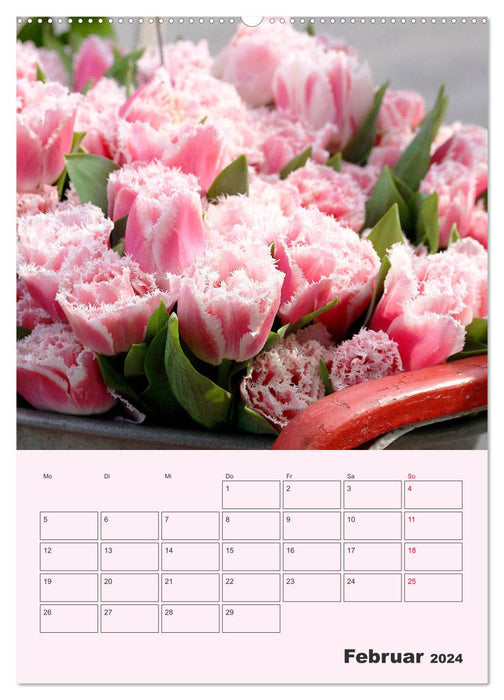 Wunderbare Tulpenwelt (CALVENDO Wandkalender 2024)