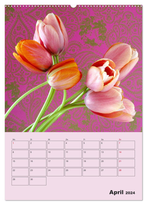 Wunderbare Tulpenwelt (CALVENDO Wandkalender 2024)