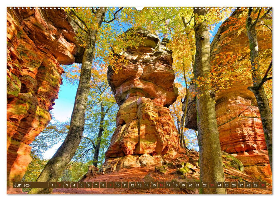 Der Altschlossfelsen - Größte Felsformation der Pfalz im herbstlichen Farbspiel (CALVENDO Premium Wandkalender 2024)