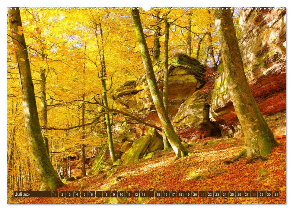 L'Altschlossfelsen - la plus grande formation rocheuse du Palatinat aux couleurs automnales (Calendrier mural CALVENDO Premium 2024) 
