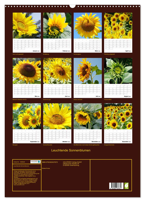 Tournesols lumineux (calendrier mural CALVENDO 2024) 