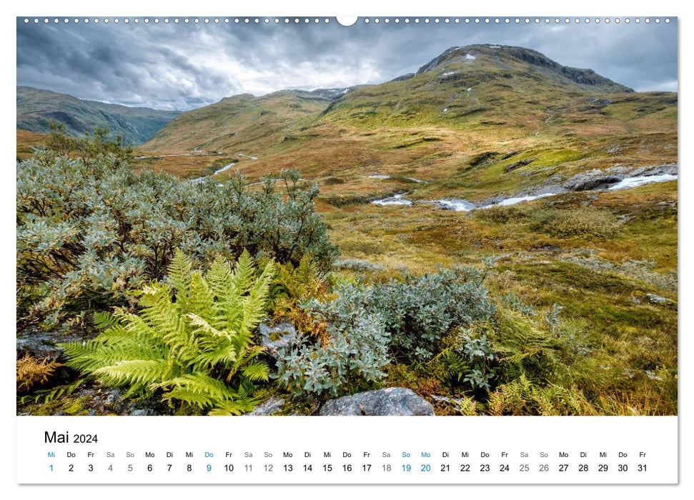 NORVÈGE - PAYSAGES DE LA MER DU NORD (Calendrier mural CALVENDO 2024) 