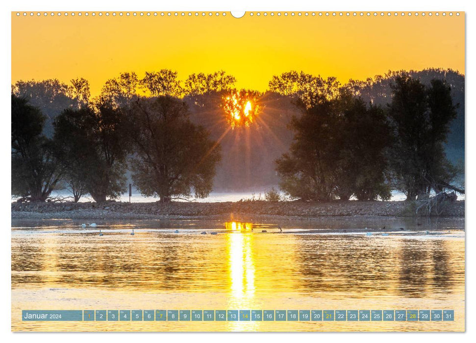 Tagesanbruch am Rhein (CALVENDO Premium Wandkalender 2024)