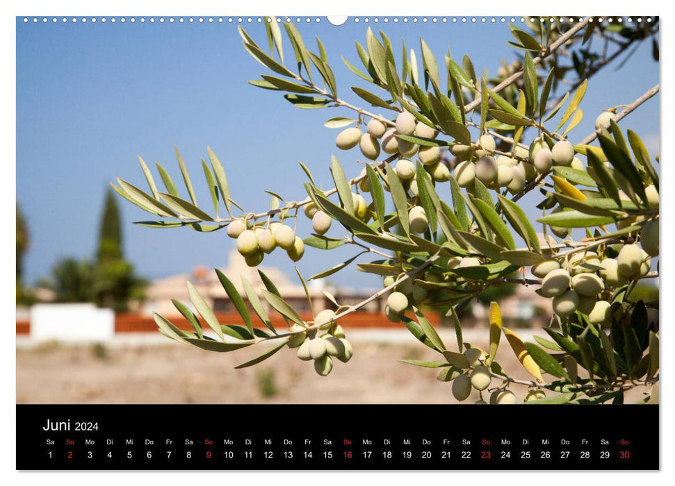 Chypre - Île des Dieux (Calvendo Premium Wall Calendar 2024) 