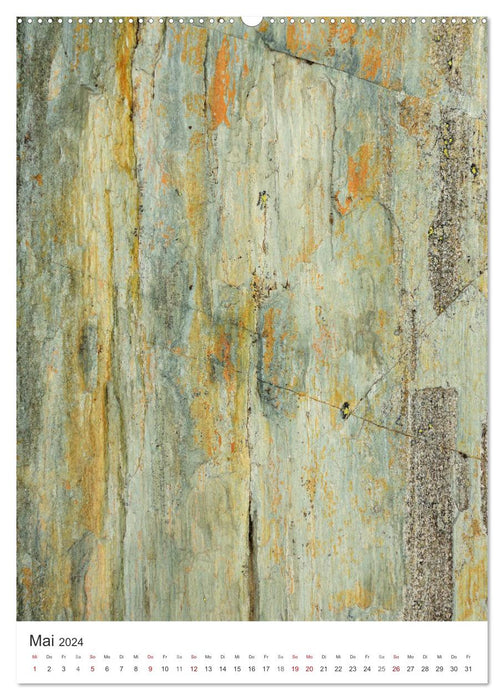 Structures - pierres, glace, plantes (calendrier mural CALVENDO 2024) 