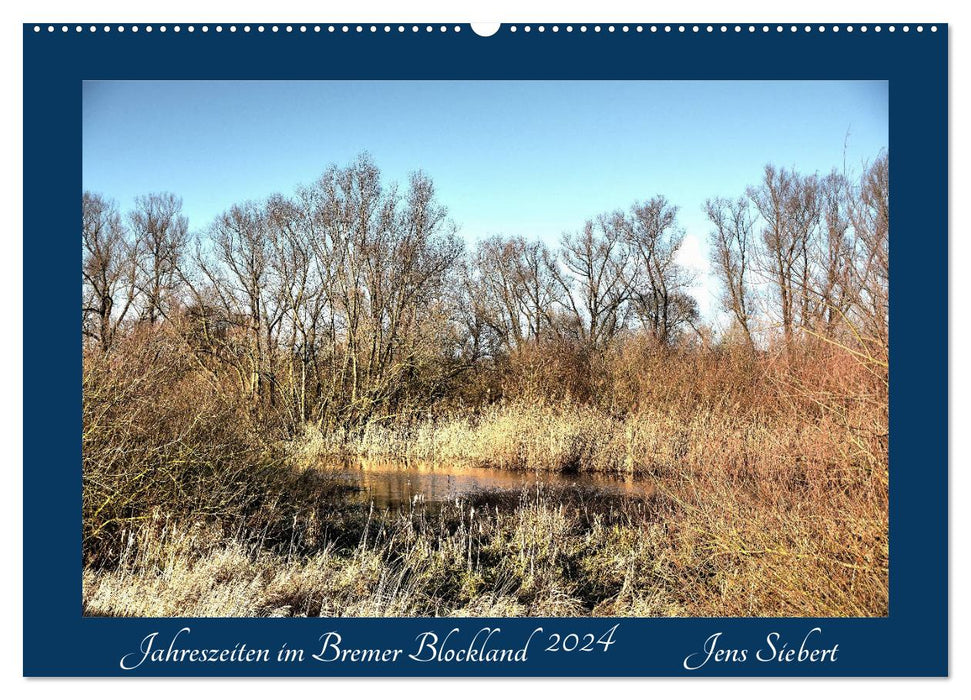 Jahreszeiten im Bremer Blockland (CALVENDO Wandkalender 2024)