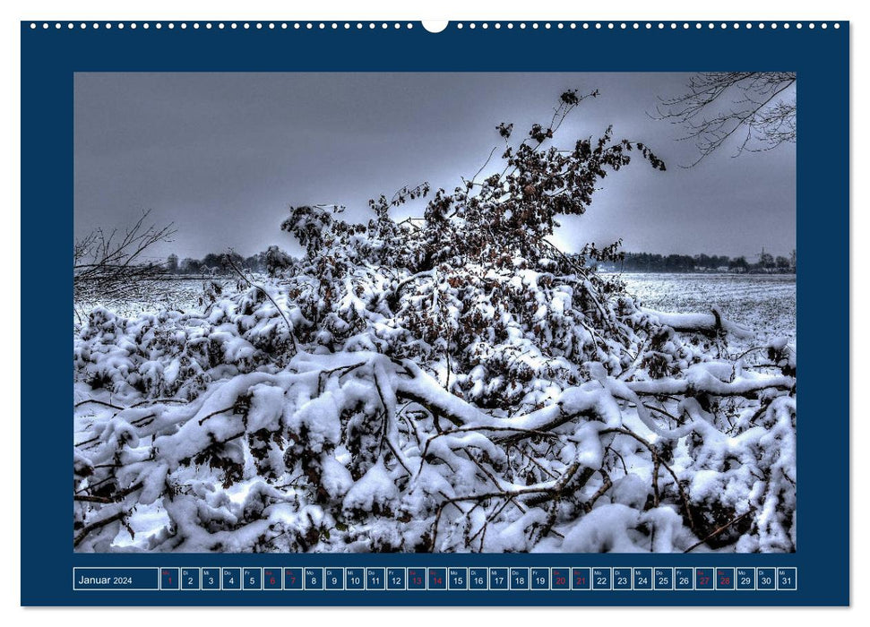 Jahreszeiten im Bremer Blockland (CALVENDO Wandkalender 2024)