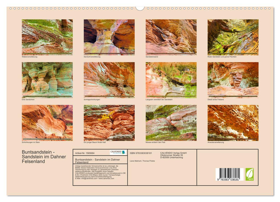 Buntsandstein - Sandstein im Dahner Felsenland (CALVENDO Premium Wandkalender 2024)
