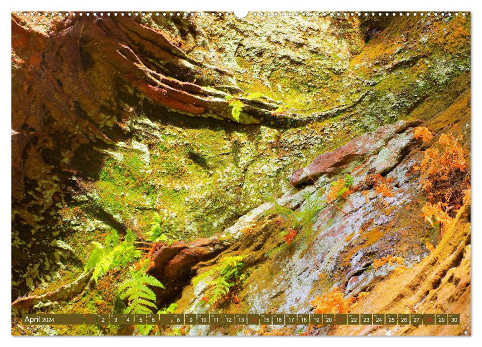 Buntsandstein - Sandstein im Dahner Felsenland (CALVENDO Premium Wandkalender 2024)