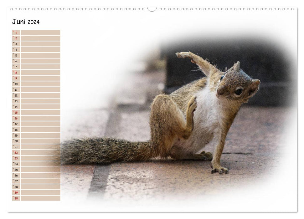 Tierisches Yoga (CALVENDO Premium Wandkalender 2024)