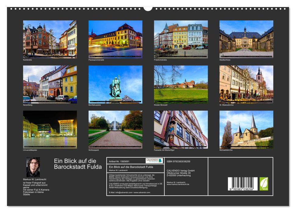 Un regard sur la ville baroque de Fulda (Calendrier mural CALVENDO Premium 2024) 