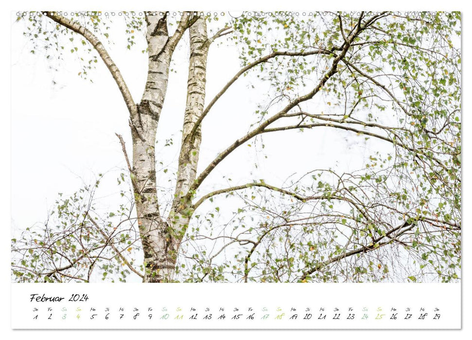 Dans le monde des arbres (Calendrier mural CALVENDO Premium 2024) 