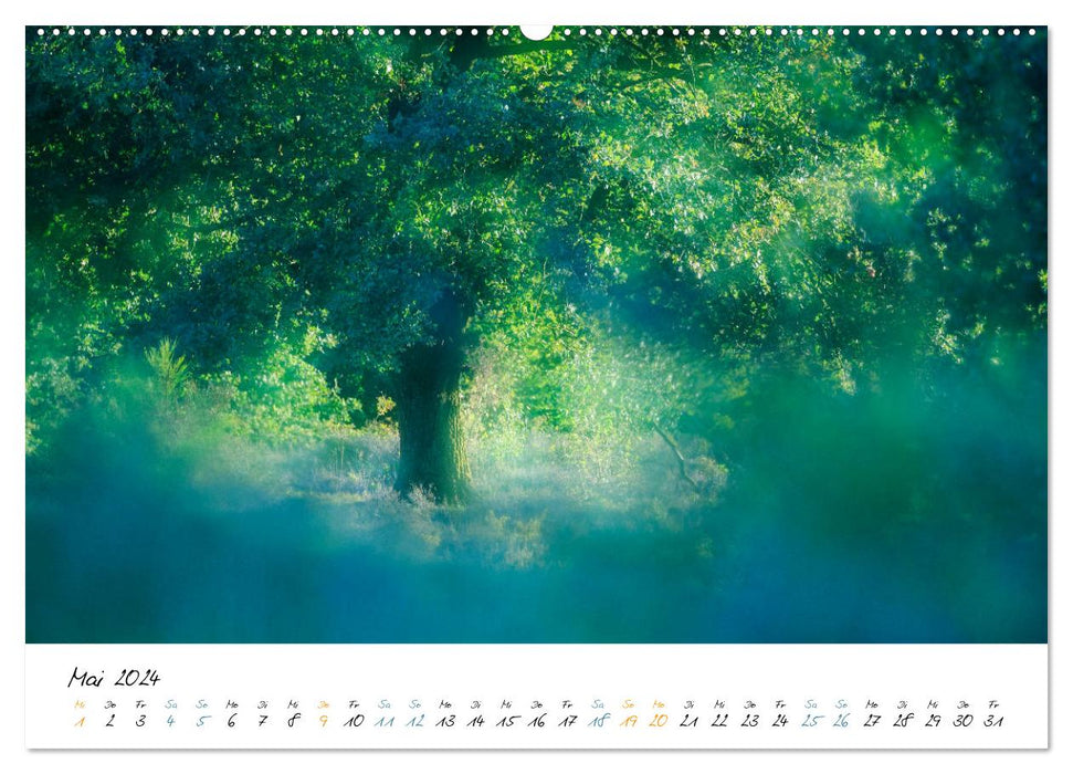 Dans le monde des arbres (Calendrier mural CALVENDO Premium 2024) 