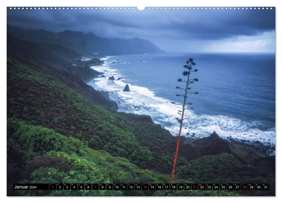 TENERIFE - LA PUISSANCE DE LA NATURE EN GROS PLAN (Calendrier mural CALVENDO 2024) 