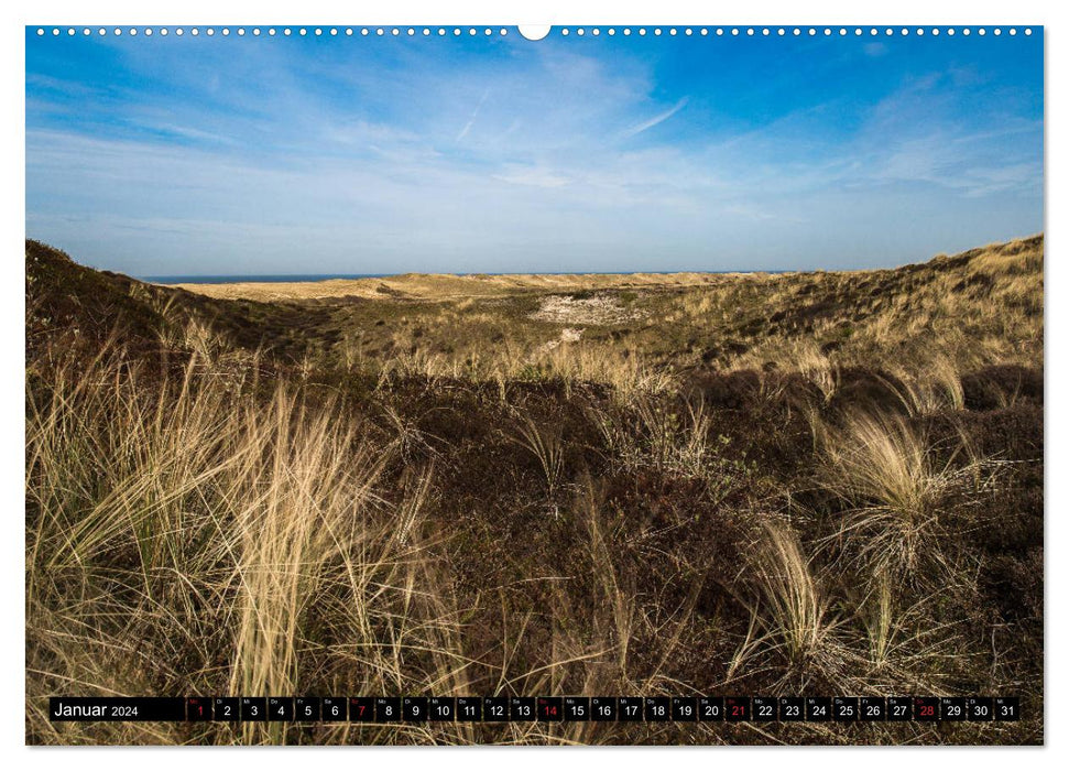 Réserve de dunes - La nature intacte de la Hollande du Nord (Calendrier mural CALVENDO 2024) 