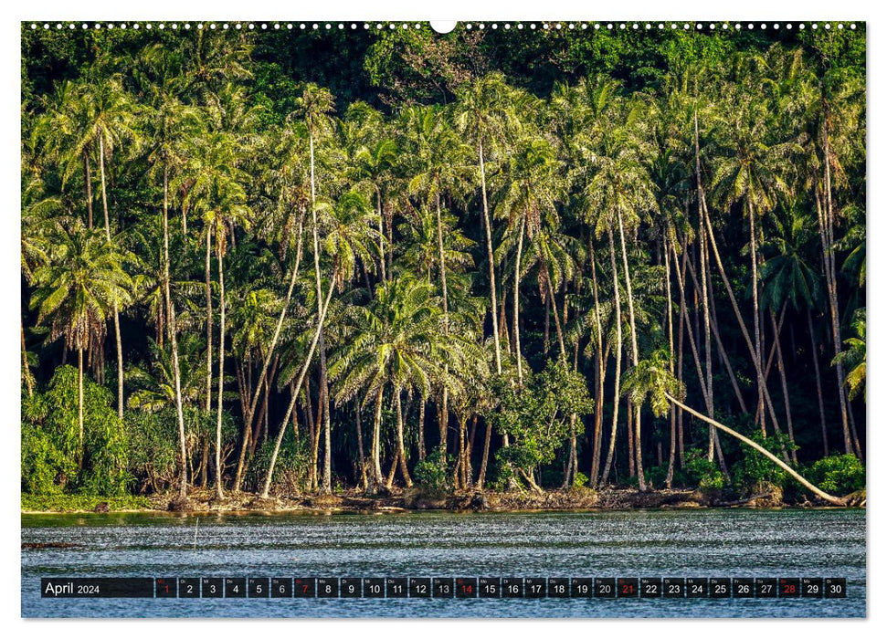 Borneo - Exotische Faszination (CALVENDO Premium Wandkalender 2024)