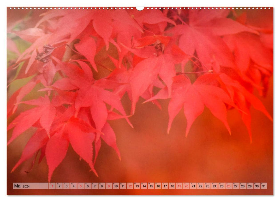 Couleur préférée automne (Calendrier mural CALVENDO Premium 2024) 