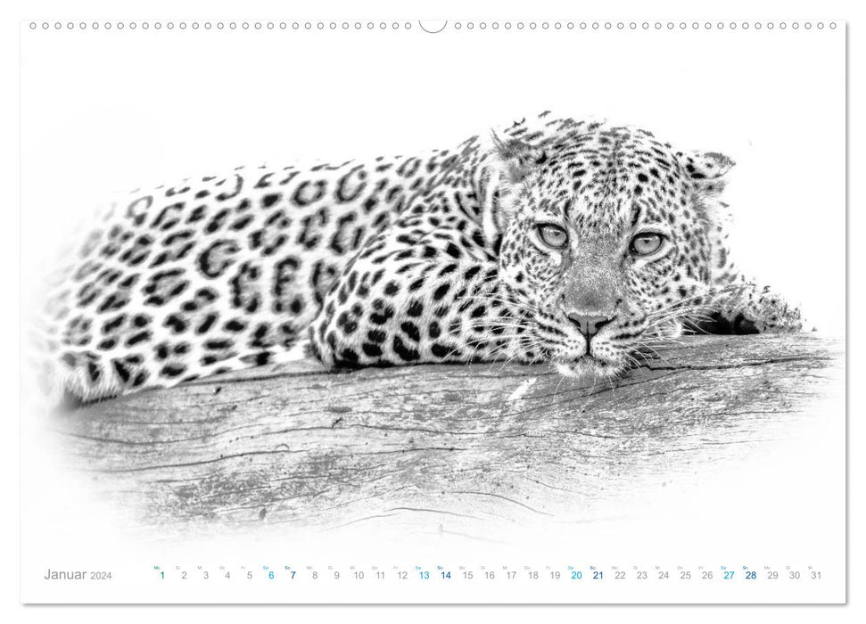 AFRIQUE - Photographies en noir et blanc dans un look moderne « high key » (Calvendo Premium Wall Calendar 2024) 