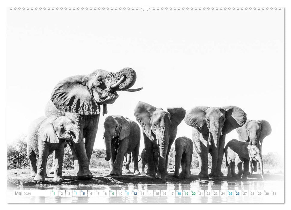 AFRIKA - Schwarz-weiss Fotografien im modernen "High Key" Look (CALVENDO Premium Wandkalender 2024)