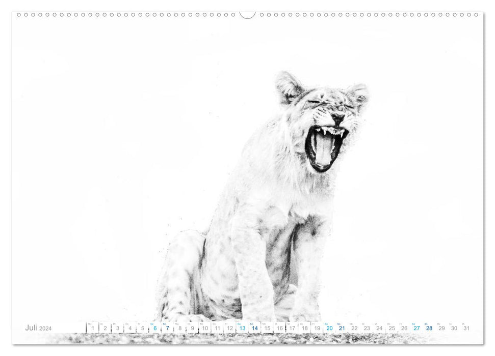 AFRIKA - Schwarz-weiss Fotografien im modernen "High Key" Look (CALVENDO Premium Wandkalender 2024)