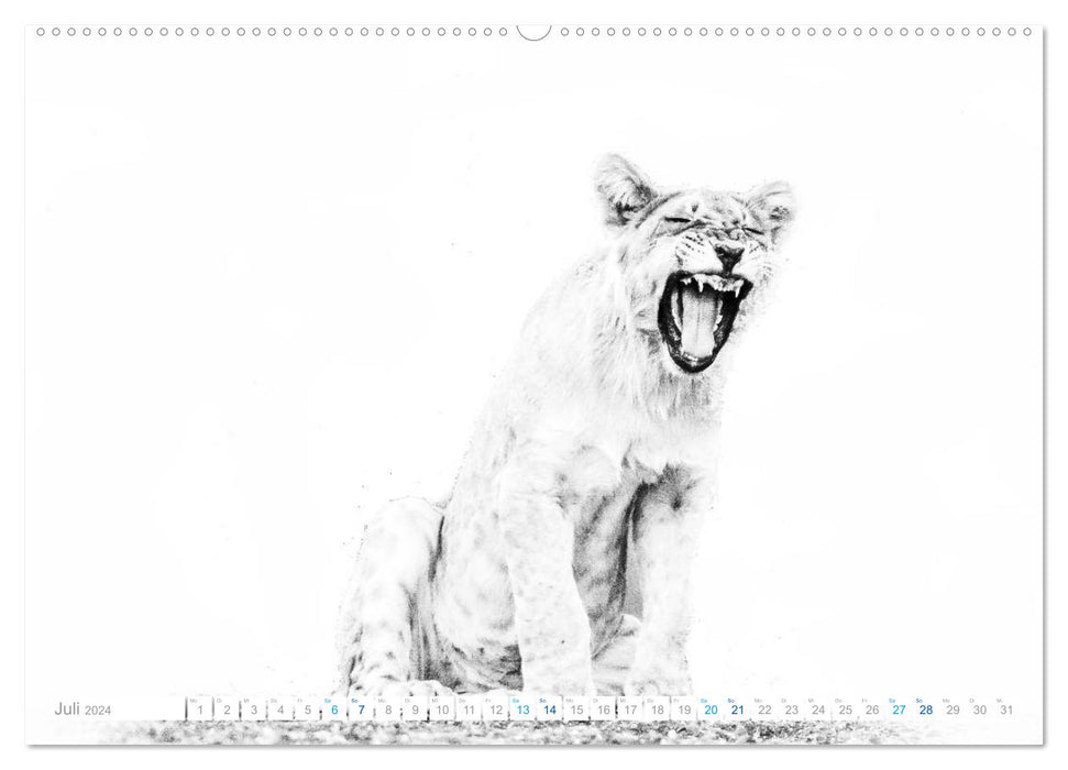 AFRIQUE - Photographies en noir et blanc dans un look moderne « high key » (Calvendo Premium Wall Calendar 2024) 