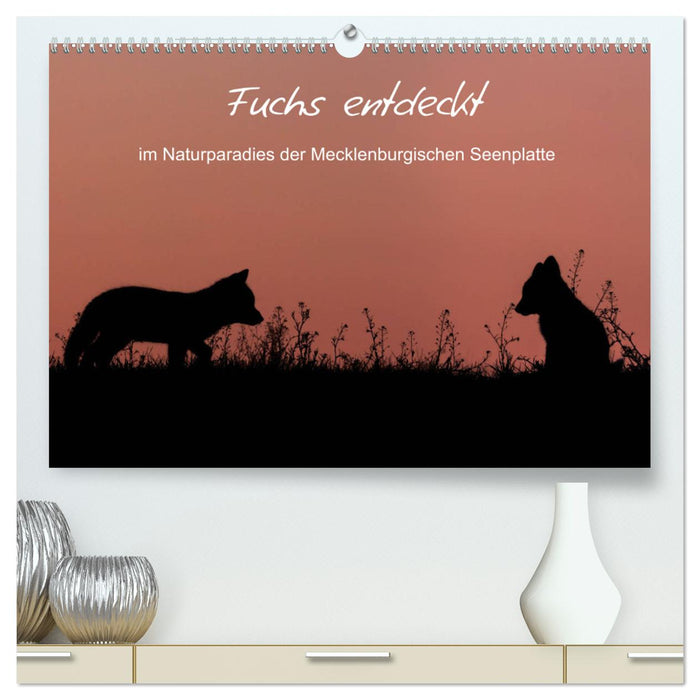 Fuchs entdeckt - im Naturparadies der Mecklenburgischen Seenplatte (CALVENDO Premium Wandkalender 2024)