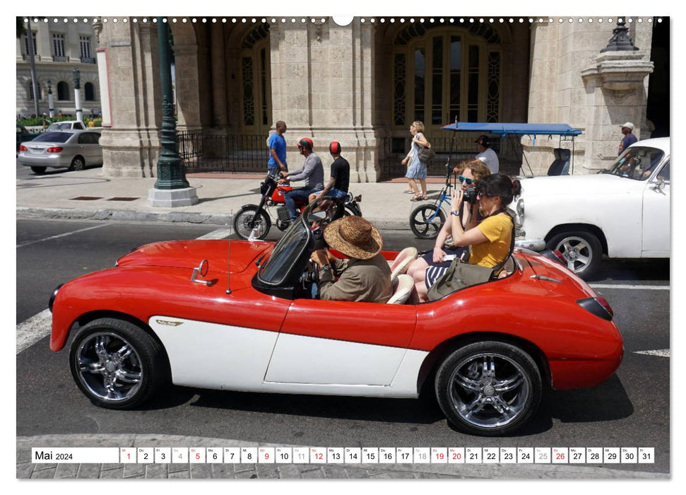 Englische Roadster - Oldtimer Schmuckstücke der Fünfziger Jahre (CALVENDO Wandkalender 2024)