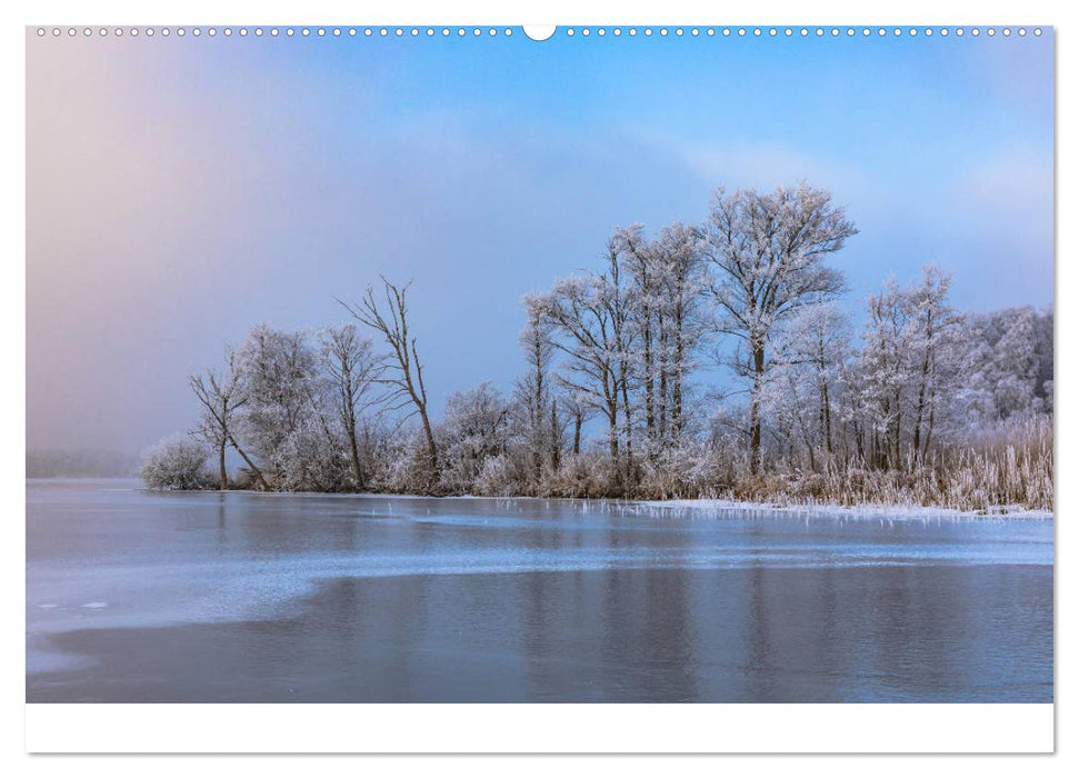 Le Kölpinsee - paradis naturel de la région des lacs du Mecklembourg (Calendrier mural CALVENDO Premium 2024) 