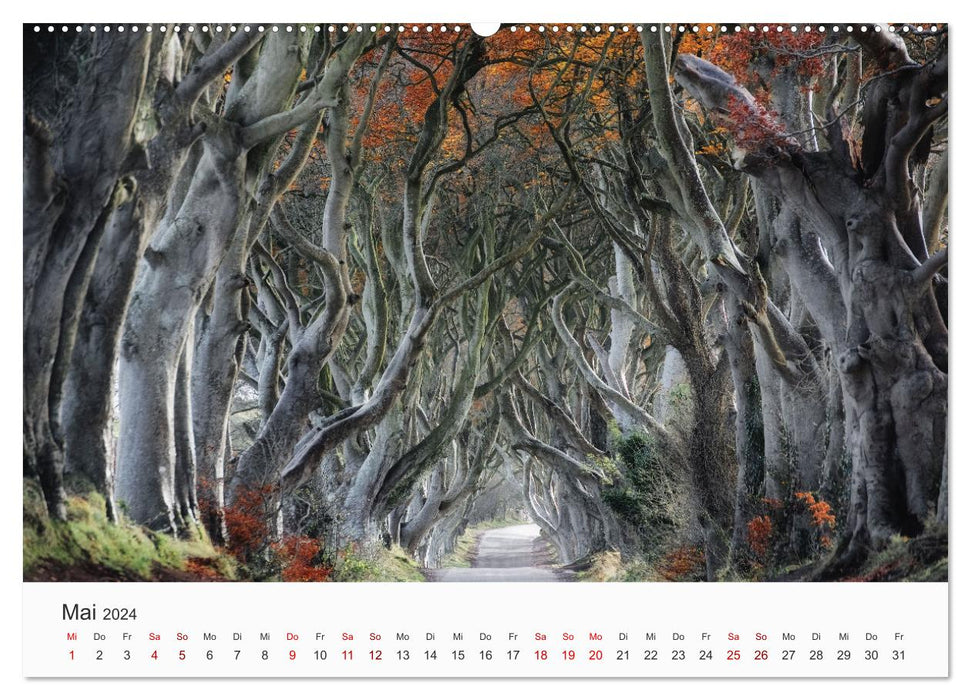 Naturschauspiel Irland (CALVENDO Premium Wandkalender 2024)