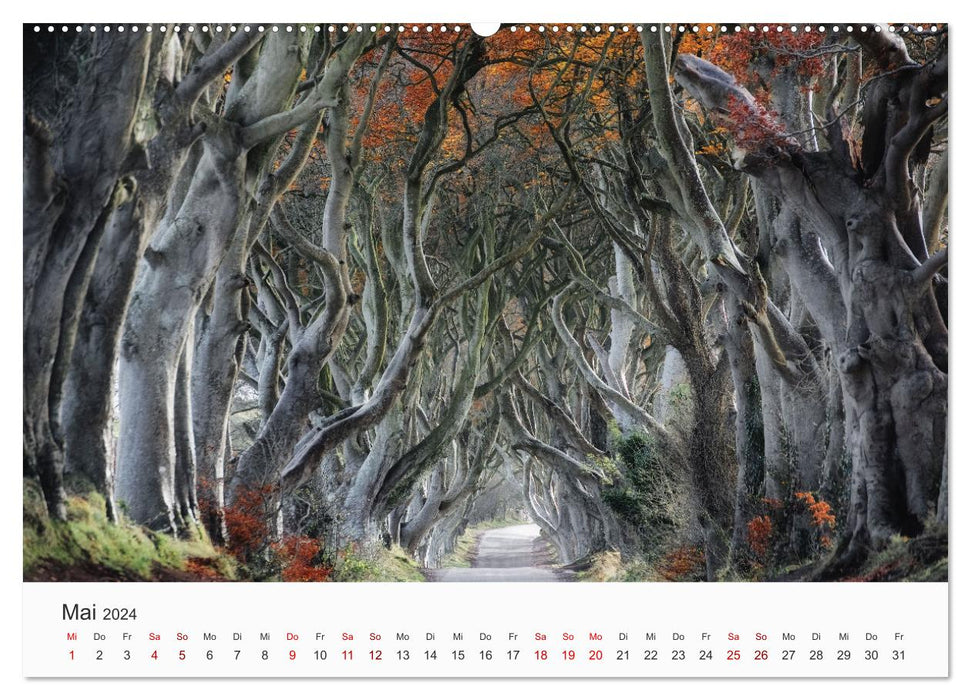 Spectacle naturel Irlande (Calvendo Premium Wall Calendar 2024) 