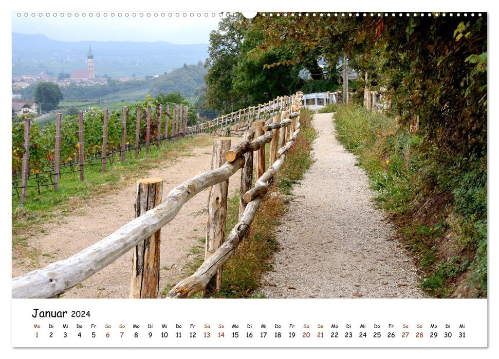 Meine schönsten Wanderwege (CALVENDO Wandkalender 2024)