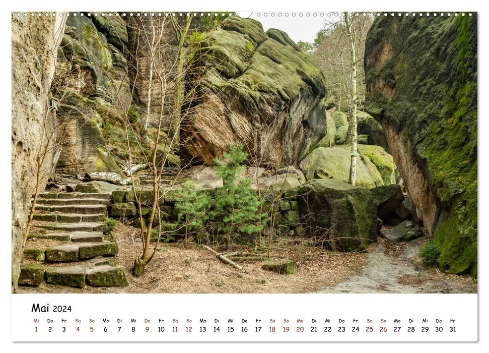 Meine schönsten Wanderwege (CALVENDO Wandkalender 2024)