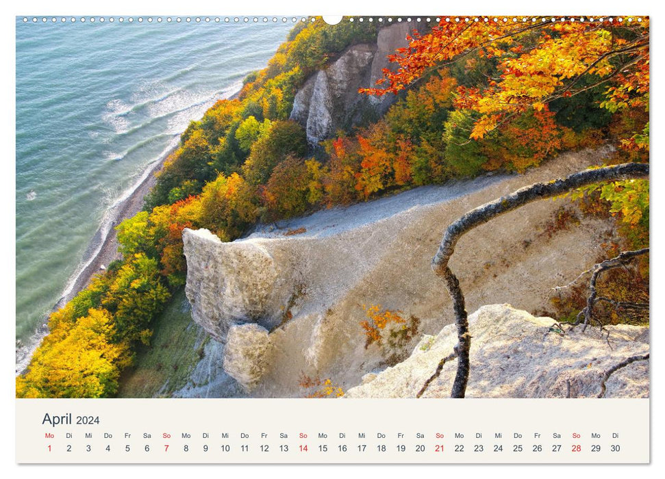 Sassnitz und die Kreideküste - Herbstimpressionen vom Hochuferweg Jasmund (CALVENDO Wandkalender 2024)