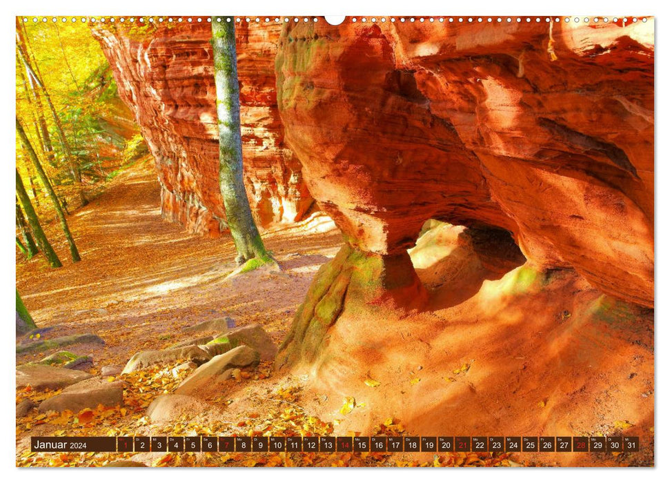 L'Altschlossfelsen - la plus grande formation rocheuse du Palatinat aux couleurs automnales (calendrier mural CALVENDO 2024) 