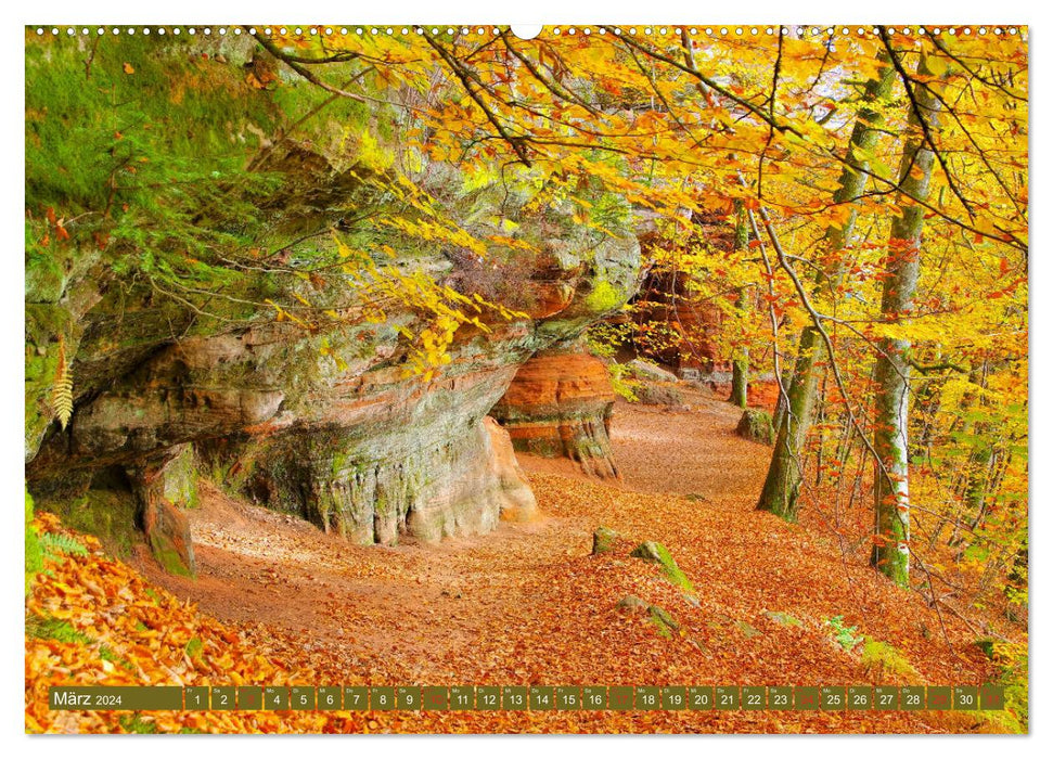 Der Altschlossfelsen - Größte Felsformation der Pfalz im herbstlichen Farbspiel (CALVENDO Wandkalender 2024)