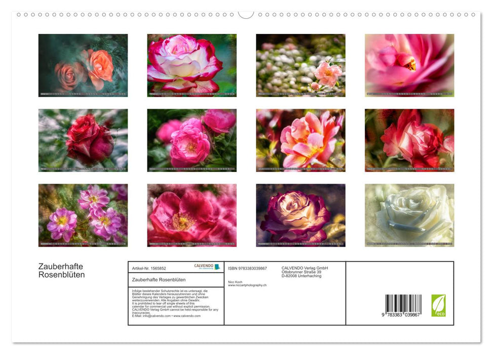 Zauberhafte Rosenblüten (CALVENDO Premium Wandkalender 2024)