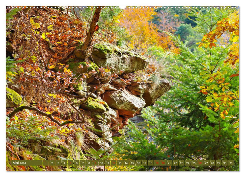 Trifels - Wanderung auf dem Annweilerer Burgenweg (CALVENDO Wandkalender 2024)