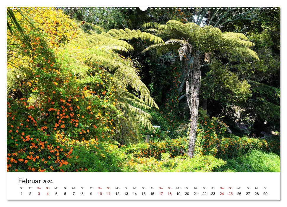Auckland 2024 (CALVENDO Premium Wandkalender 2024)