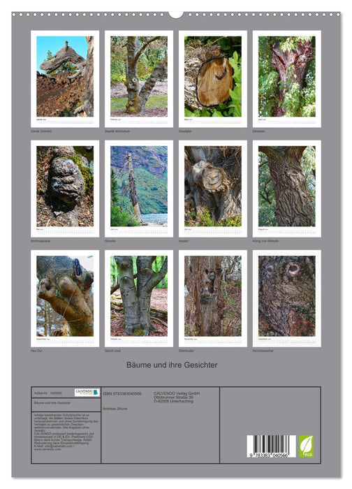 Bäume und ihre Gesichter (CALVENDO Premium Wandkalender 2024)