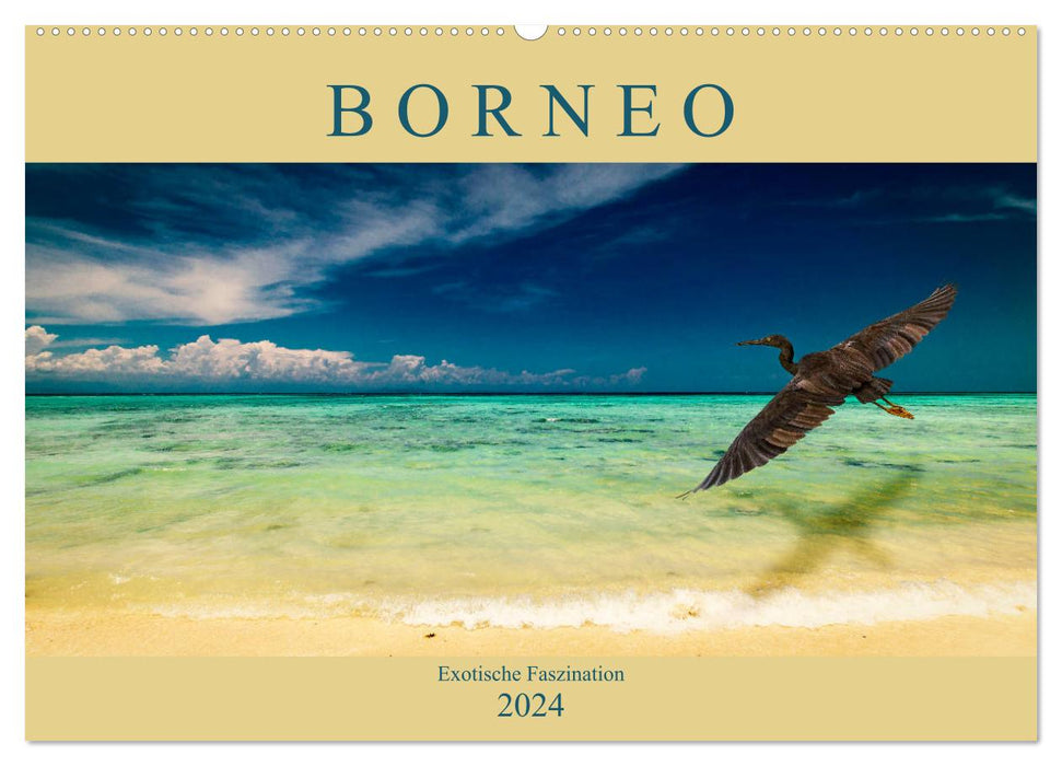 Borneo - Exotische Faszination (CALVENDO Wandkalender 2024)