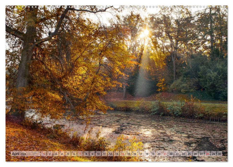Lieblingsfarbe Herbst (CALVENDO Wandkalender 2024)