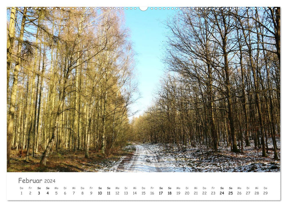 Wald - bezaubernde Wälder (CALVENDO Premium Wandkalender 2024)