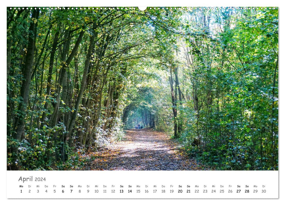 Wald - bezaubernde Wälder (CALVENDO Premium Wandkalender 2024)